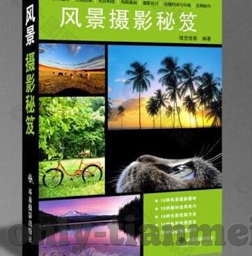 成人美女视频-成人美女视频，网络时代下的文化与道德边界