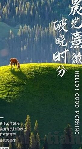 韩国伦理小说-韩国伦理小说的独特魅力，人性深处的探索与反思