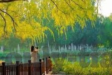 久久精品国产亚洲av麻豆四虎-探索真正的激情，解锁视觉艺术的无尽魅力与文化深度