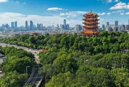 麻豆国产精品av-麻豆国产剧的精湛演绎与艺术价值探索