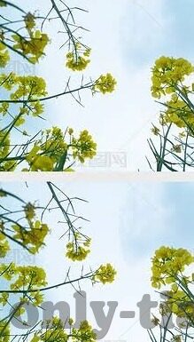 麻豆精品传媒在线观看-麻豆精品传媒，在线观影新体验