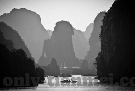 麻豆视频最新网址-麻豆视频的现代娱乐探索之旅，最新网址揭秘与观影指南