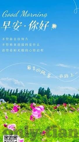 麻豆永久免费视频-揭秘网络迷雾，麻豆视频——免费背后的虚实之辨