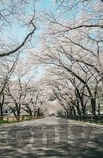 日韩av高清不卡-日韩AV高清体验，流畅观影新境界
