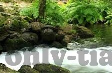 日韩国产av一区二区-日韩AV文化现象的多元视角解析